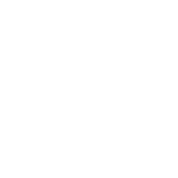 PMVBRY Guidelines
